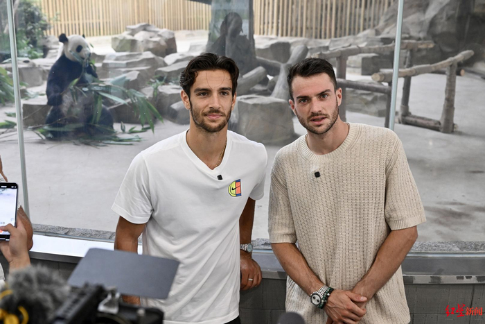 助攻数据排 助攻数据排