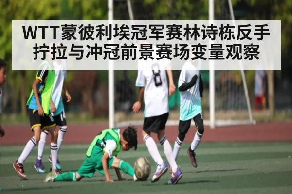 WTT蒙彼利埃冠军赛林诗栋反手拧拉与冲冠前景赛场变量观察
